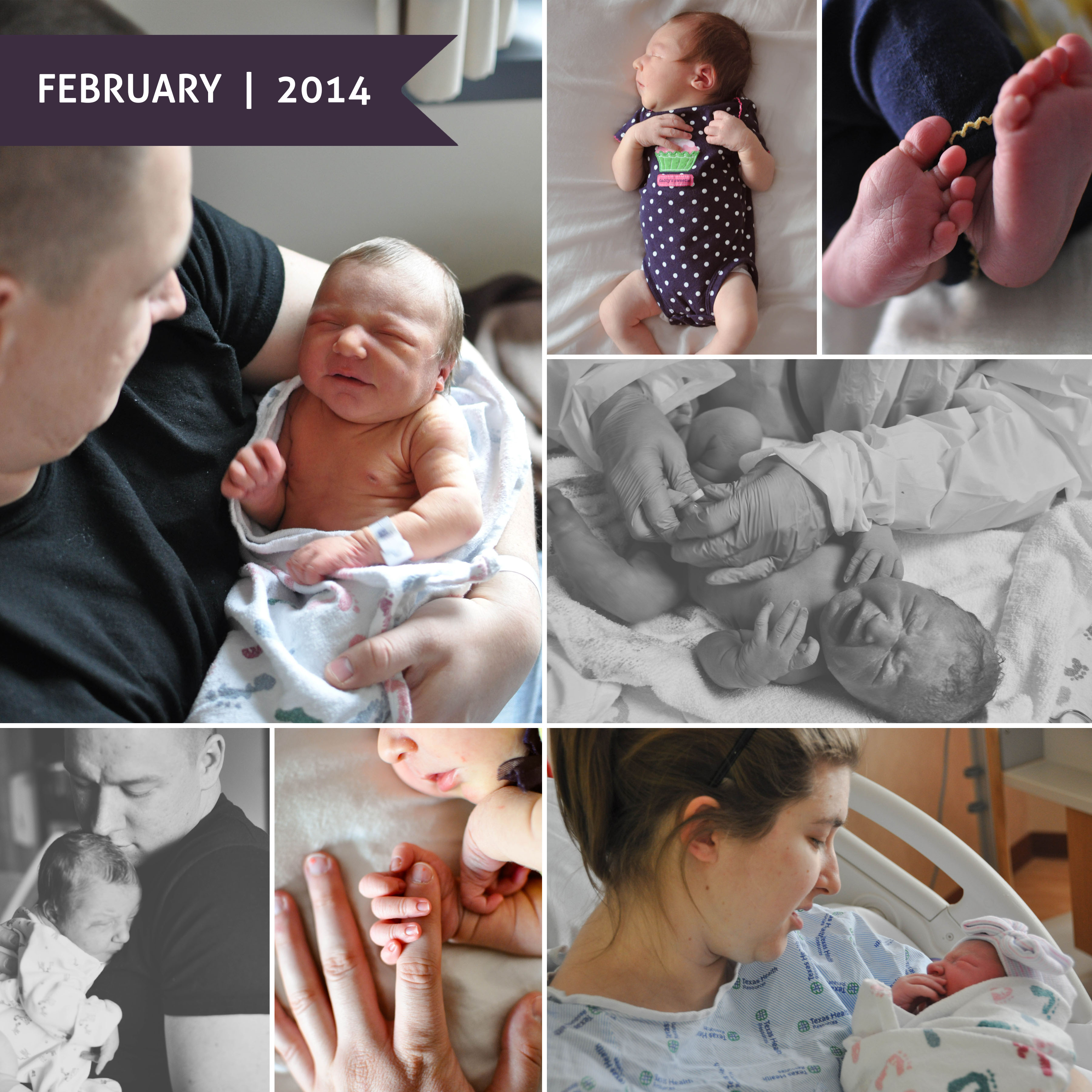 A Month in Photos | February