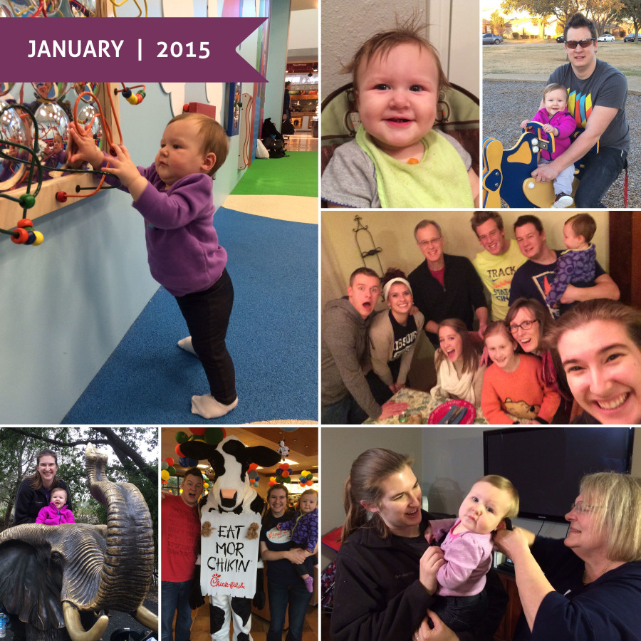 A Month in Photos | January 2015 - Wit & Wander