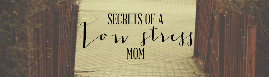 Secrets of a Low Stress Mom Header - Wit & Wander