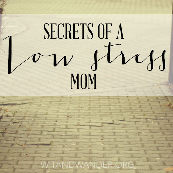 Secrets of a Low Stress Mom Square - Wit & Wander