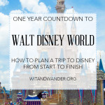Walt Disney World Countdown - How to Plan a Disney Vacation
