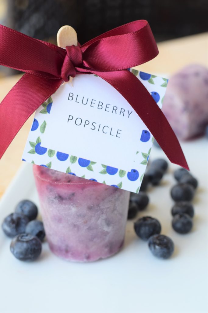 blueberry-popsicle