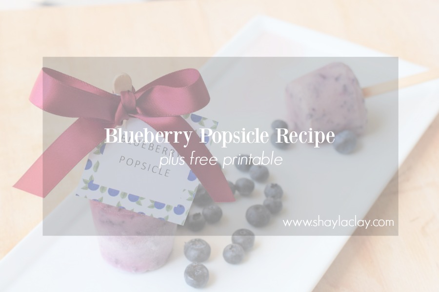 Blueberry Popsicle Recipe