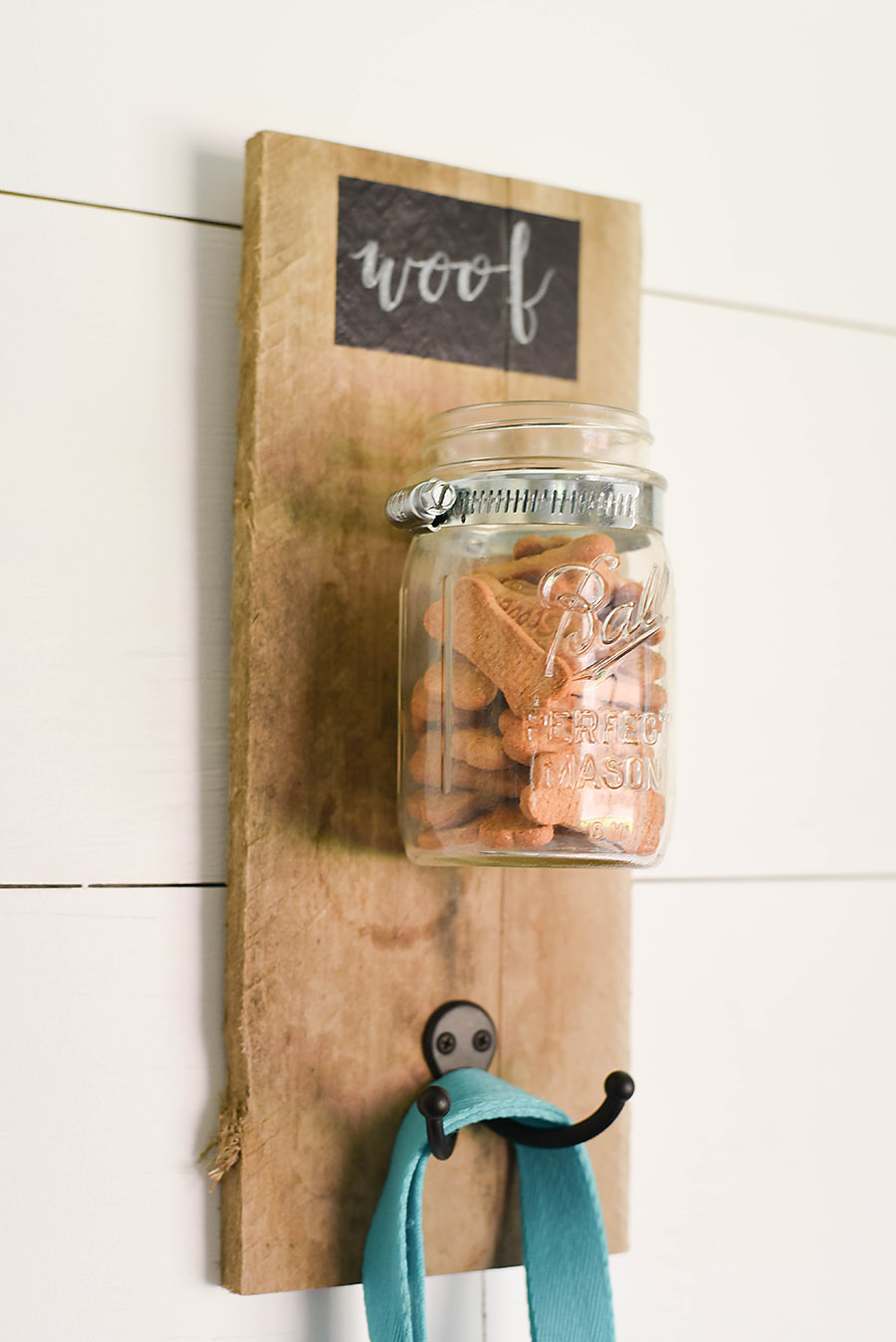 Dog Treat Holder DIY  Organize treats and leashes in an adorable way!