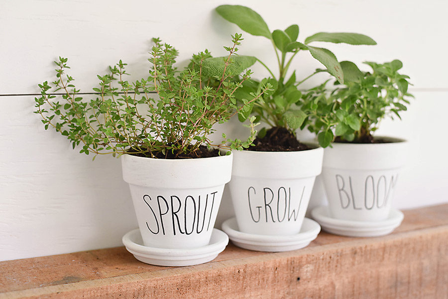 DIY Rae Dunn Inspired Flower Pots - Our Handcrafted Life