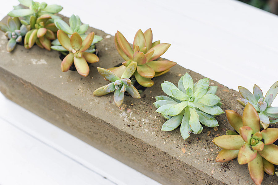 DIY Concrete Sugar Mold - Our Handcrafted Life