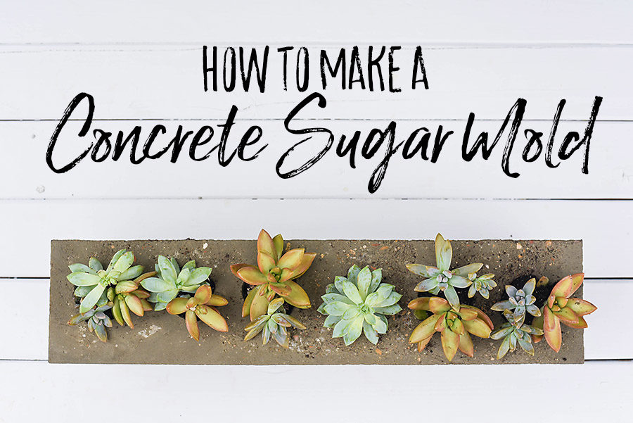 DIY Concrete Sugar Mold - Our Handcrafted Life