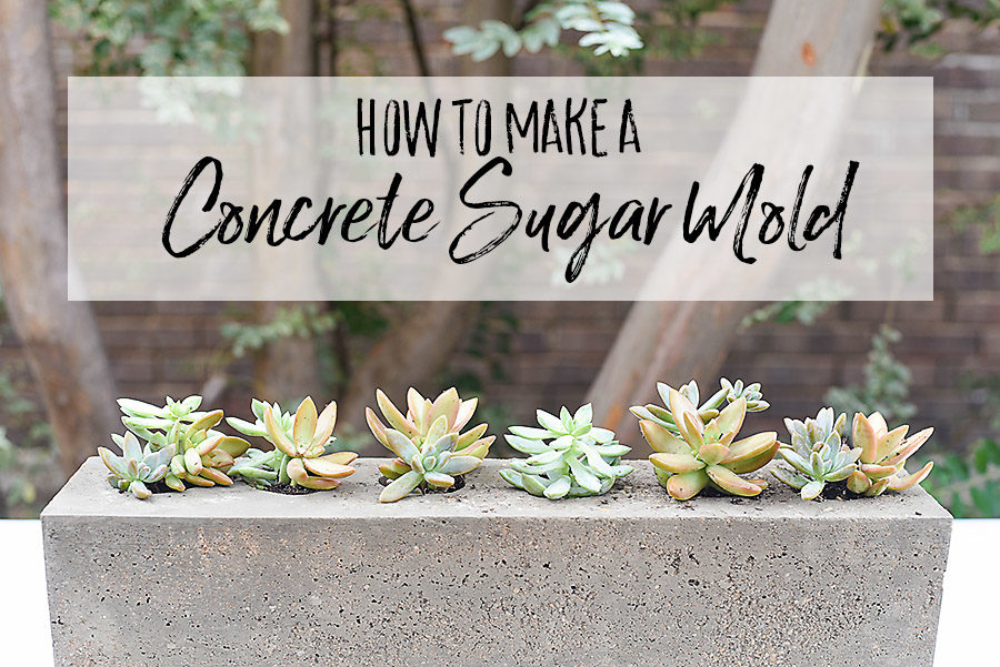 DIY Concrete Sugar Mold - Our Handcrafted Life