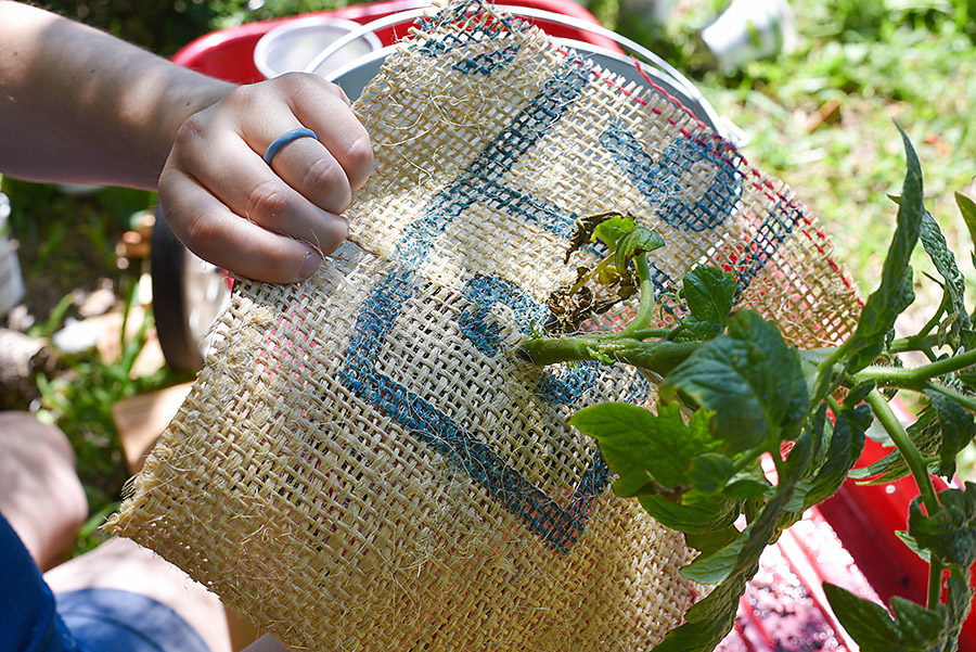 DIY Galvanized Tin Upside Down Tomato Planter - Our Handcrafted Life