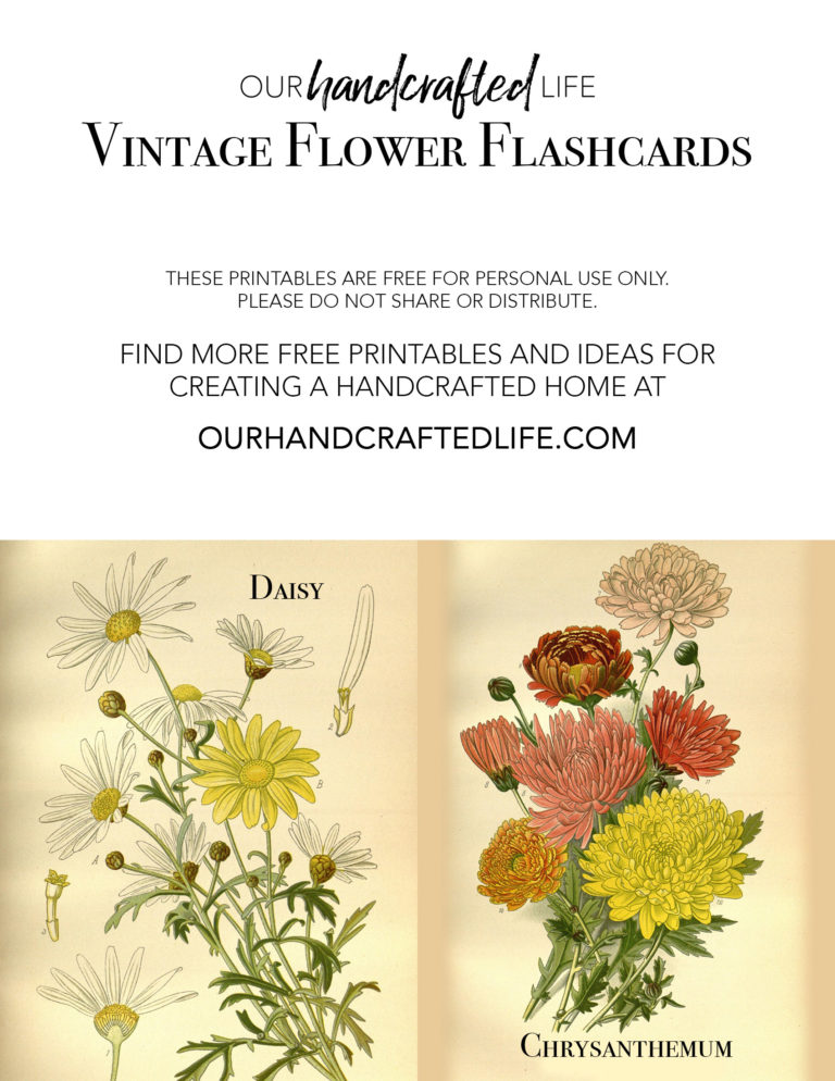 Free Printable Vintage Science and Nature Flash Cards - Our Handcrafted ...