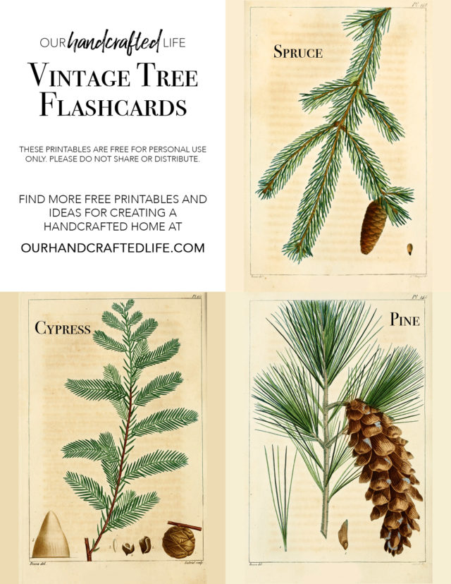 free-printable-vintage-science-and-nature-flash-cards-our-handcrafted