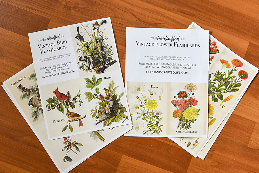 Free Printable Vintage Science And Nature Flash Cards Our Handcrafted 