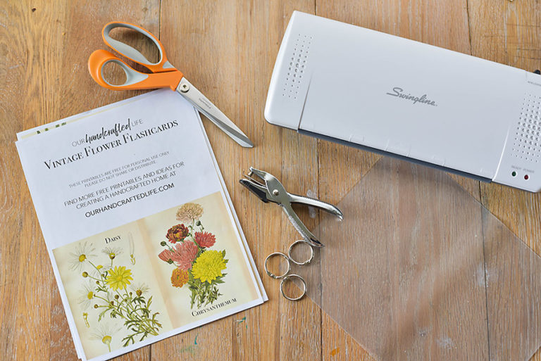 Free Printable Vintage Science and Nature Flash Cards - Our Handcrafted ...