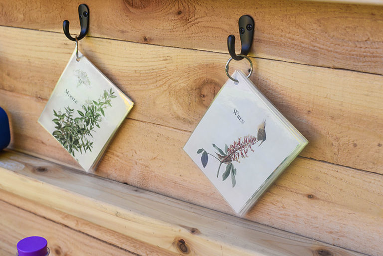 Free Printable Vintage Science and Nature Flash Cards - Our Handcrafted ...