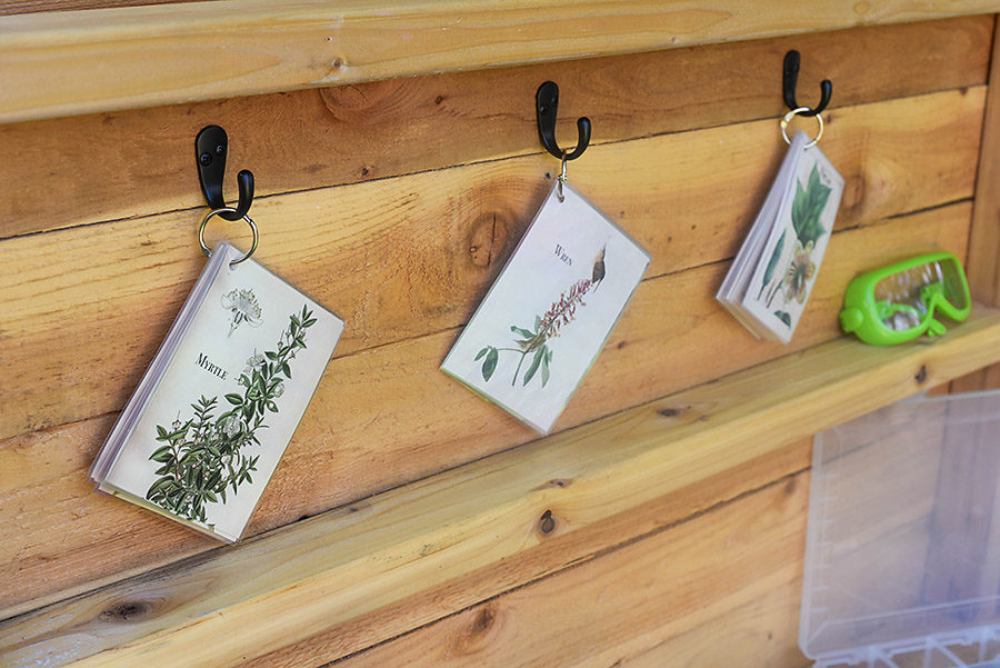 Vintage Science and Nature Flash Cards - Our Handcrafted Life