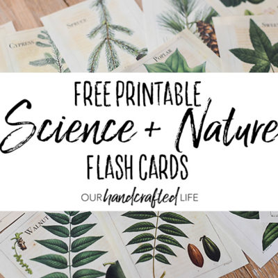 Freebies Archives - Our Handcrafted Life