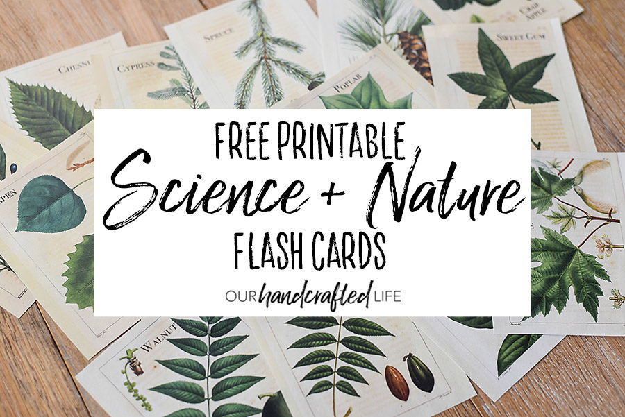 Vintage Science and Nature Flash Cards - Our Handcrafted Life