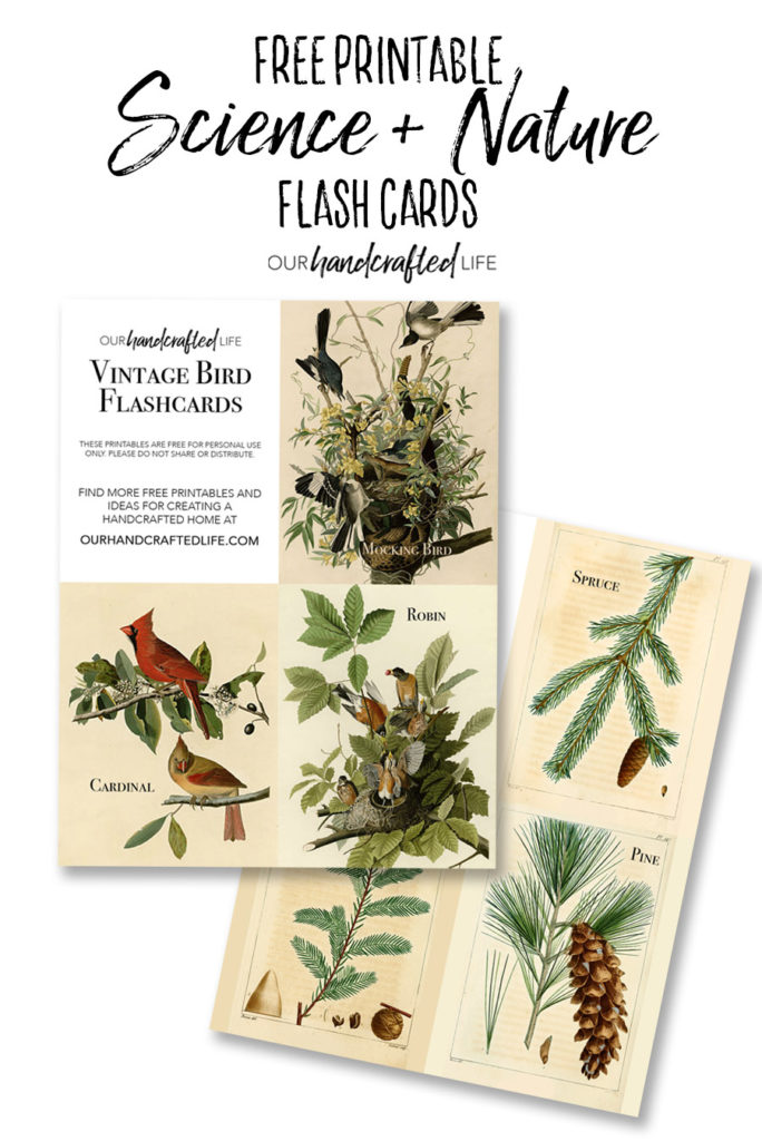 Vintage Science and Nature Flash Cards - Our Handcrafted Life