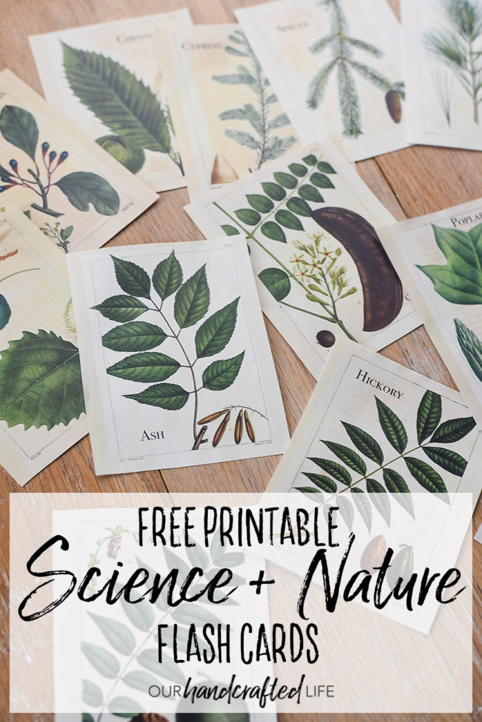 Vintage Science and Nature Flash Cards - Our Handcrafted Life