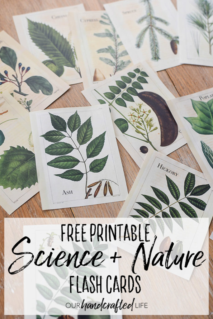 free-printable-vintage-science-and-nature-flash-cards-our-handcrafted