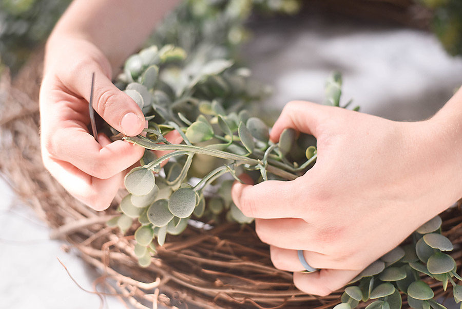 How to make a grapevine boxwood wreath - find the middle stems.