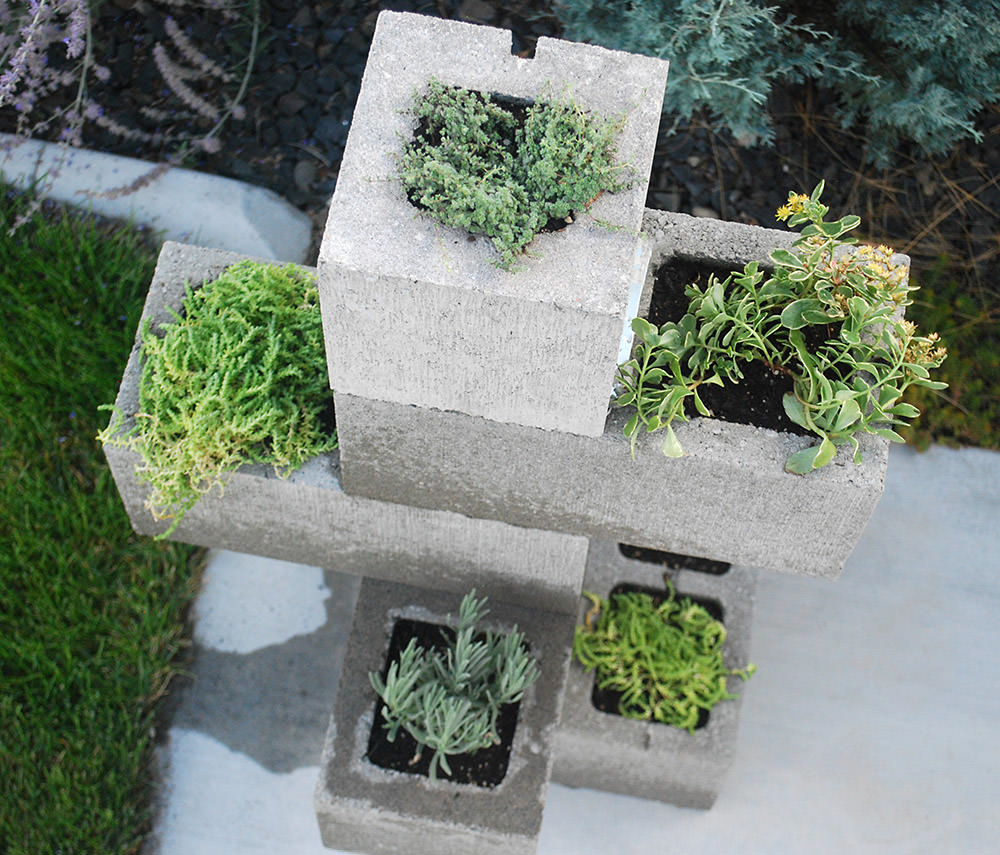 Illustration of Small Space Gardening Solutions