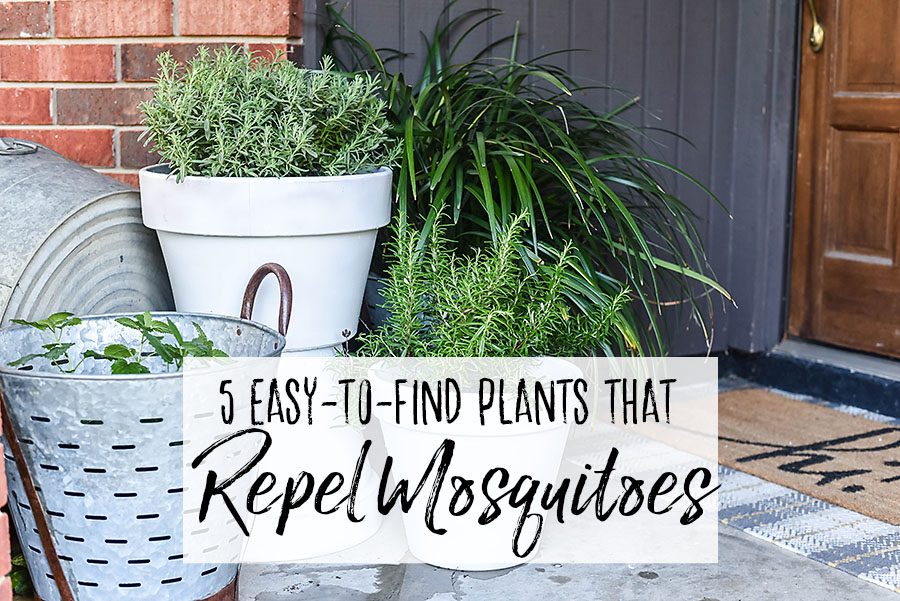 5 Plants That Repel Mosquitoes - Our Handcrafted Life Header