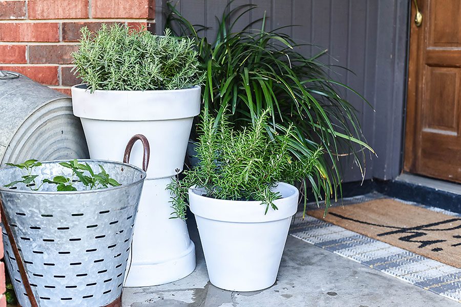 5 Plants That Repel Mosquitoes - Our Handcrafted Life Summer Front Porch Refresh