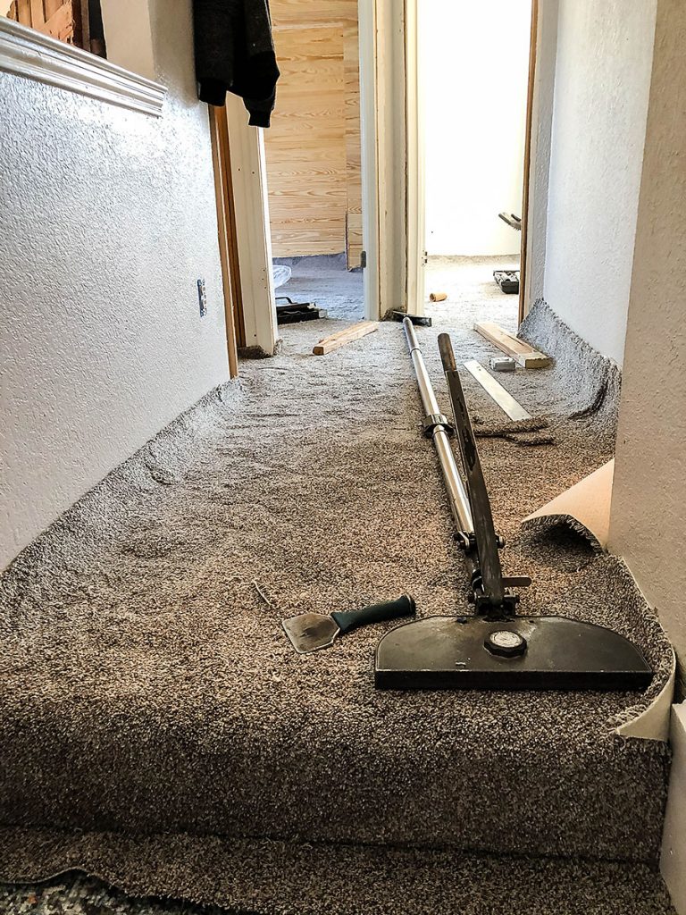 How to Prepare Your House for New Carpet