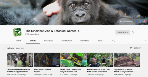 The Best Educational YouTube Channels - Cincinnati Zoo