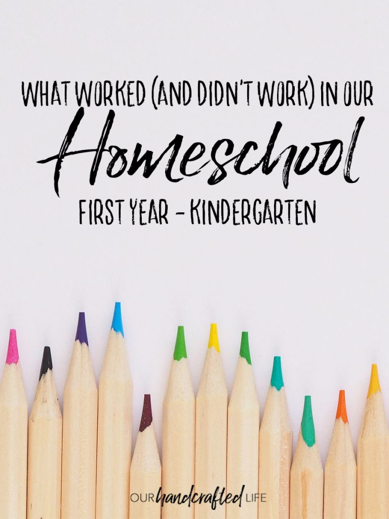 What Worked in Our First Year of Homeschool